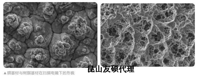 海西蔡司海西扫描电镜