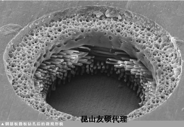 海西蔡司海西扫描电镜